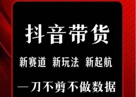 抖音短视频一刀不剪带货，不剪辑，不直播，每天发个视频，等着出单获取带货佣金 - 严选资源大全 - 严选资源大全