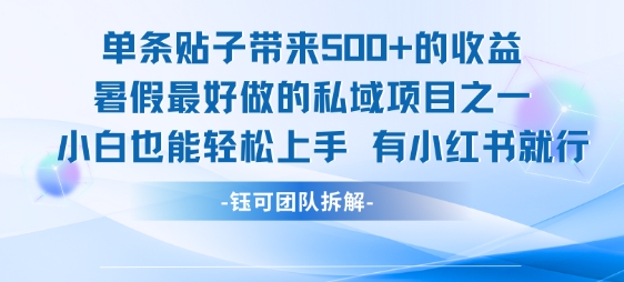 单条贴子带来5张的收益，暑假最好做的私域项目之一，小白也能轻松上手，有小红书就行 - 严选资源大全 - 严选资源大全