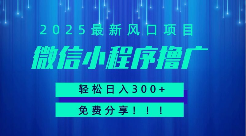 微信小程序撸广，最新风口项目，日入300+ 免费分享 可批量操作 小白可轻松上手！！ - 严选资源大全 - 严选资源大全