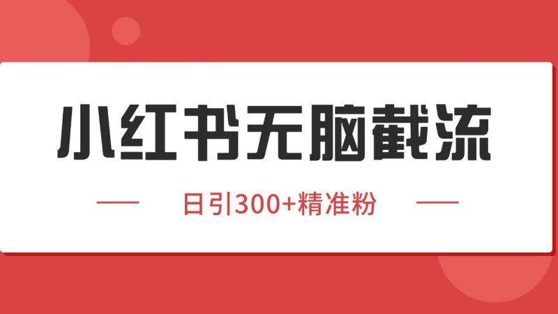 小红书截流同行客源,独家野路子获客玩法 日引200+暴力获客 - 严选资源大全 - 严选资源大全