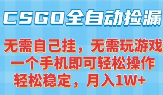 CSGO自动捡漏项目，最新独家玩法，一个手机可操作，新手小白轻松月入1W+，操作简单易上手【揭秘】 - 严选资源大全 - 严选资源大全