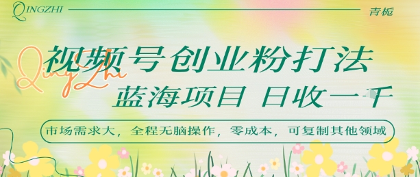 视频号创业粉打法，日入1k，蓝海项目，市场需求大，全程无脑操作，可复制 - 严选资源大全 - 严选资源大全