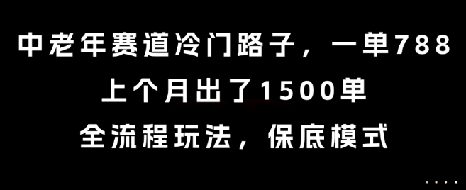中老年赛道冷门路子，一单788，上个月出了1500单，全流程玩法，保底模式【揭秘】 - 严选资源大全 - 严选资源大全