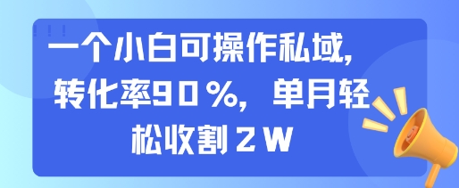 一个小白可操作私域，转化率90%，单月轻松收割2W - 严选资源大全 - 严选资源大全