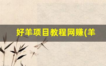 好羊项目教程网赚(羊好羊豪华礼盒) - 严选资源大全 - 严选资源大全