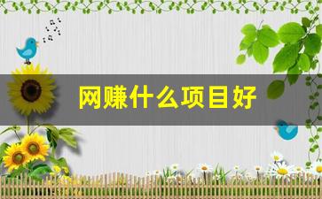 网赚什么项目好 - 严选资源大全 - 严选资源大全