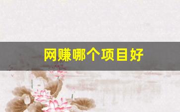 网赚哪个项目好 - 严选资源大全 - 严选资源大全