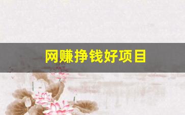网赚挣钱好项目 - 严选资源大全 - 严选资源大全