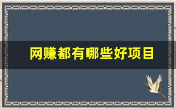 网赚都有哪些好项目 - 严选资源大全 - 严选资源大全