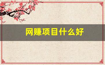 网赚项目什么好 - 严选资源大全 - 严选资源大全