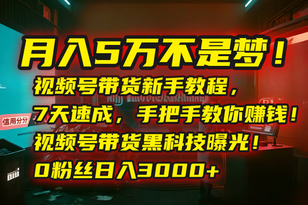月入5万不是梦！视频号带货新手教程，7天速成，手把手教你赚钱！视频号… - 严选资源大全 - 严选资源大全