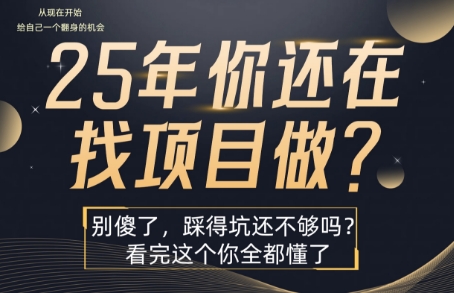 25年，你还在疯狂的找项目吗？别傻了，看完这个你都懂了【揭秘】 - 严选资源大全 - 严选资源大全