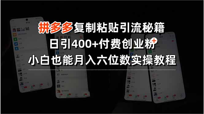 拼多多复制粘贴引流秘籍，日引400+付费创业粉，小白也能月入六位数实操… - 严选资源大全 - 严选资源大全