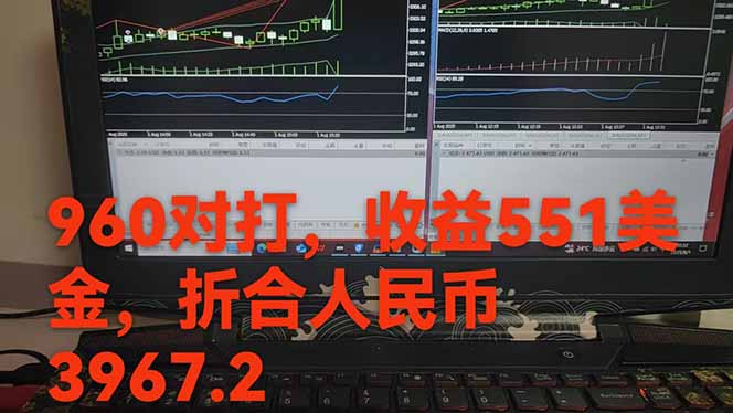 图片[1] - 稳定8年的美刀搬砖项目，单人每日收益800—3000.团队4人月入10W+.可线下 - 严选资源大全 - 严选资源大全