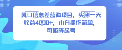 风口信息差蓝海项目，实测一天收益4k+，小白操作简单，可矩阵起号 - 严选资源大全 - 严选资源大全