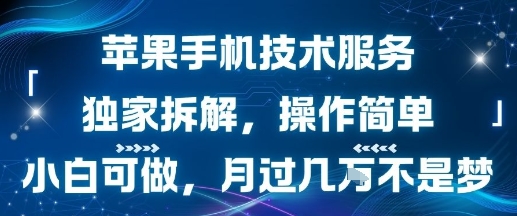 苹果手机技术服务，独家拆解，操作简单，小白可做，月过1W不是梦 - 严选资源大全 - 严选资源大全