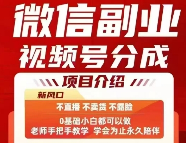 微信副业视频号分成，不直播 不卖货 不露脸，三五分钟即可完成一条作，每日收益几十、几张不等 - 严选资源大全 - 严选资源大全