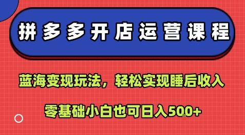 拼多多开店运营课程：蓝海变现玩法，轻松实现睡后收入，零基础小白也可日入5张 - 严选资源大全 - 严选资源大全