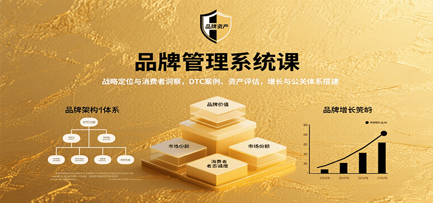 品牌管理系统课：战略定位与消费者洞察，DTC案例、资产评估，增长与公关体系搭建 - 严选资源大全 - 严选资源大全