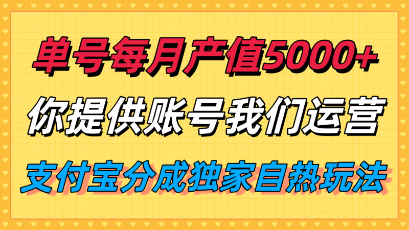 单月产值5000+，支付宝分成代运营，你提供账号坐等分钱，我们帮你运营 - 严选资源大全 - 严选资源大全