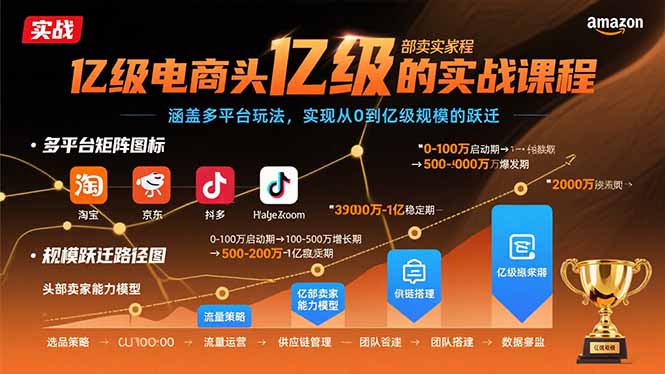 亿级电商头部卖家的实战课程：涵盖多平台玩法，实现从0到亿级规模的跃迁 - 严选资源大全 - 严选资源大全