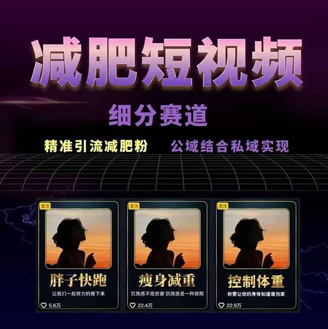 图片[2] - 减肥短视频运营实战课：含素材制作、剪映教学，讲精准引流、变现设计与内容模板技巧 - 严选资源大全 - 严选资源大全