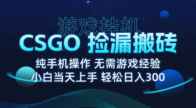 8月最新游戏搬砖，CSGO纯挂机，不需要玩游戏，实现真挂机，月入1W+ - 严选资源大全 - 严选资源大全