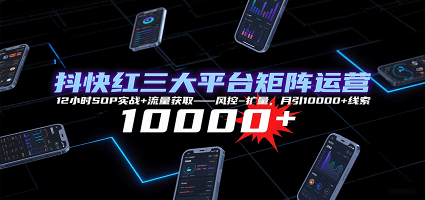 抖快红三大平台矩阵运营，12小时SOP实战+流量获取-风控-扩量，月引10000+线索 - 严选资源大全 - 严选资源大全