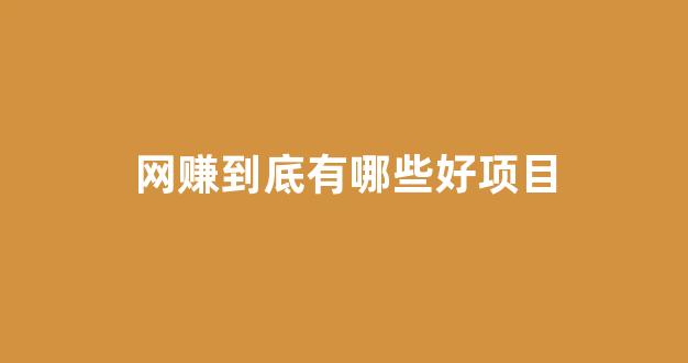 网赚到底有哪些好项目 - 严选资源大全 - 严选资源大全
