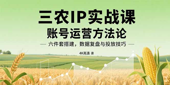 三农IP实战课:账号运营方法论,六件套搭建,数据复盘与投放技巧 - 严选资源大全