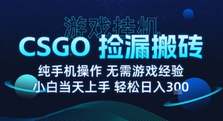 8月最新游戏搬砖，CSGO纯挂G，不需要玩游戏，实现真挂G，月入1W+【揭秘】 - 严选资源大全 - 严选资源大全