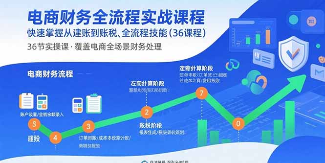 电商财务全流程实战课程：快速掌握从建账到报税的全流程技能(36节课 - 严选资源大全 - 严选资源大全