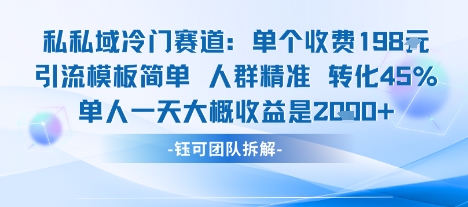 私域冷门赛道单个收费198米引流模板简单人群精准 45%的转化率单人一天大概收益多张 - 严选资源大全 - 严选资源大全