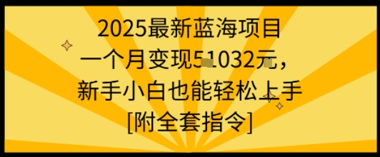 2025最新蓝海项目一个月变现1w+新手小白也能轻松上手【附全套指令】 - 严选资源大全 - 严选资源大全