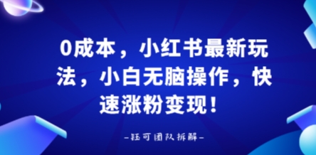 0成本，小红书最新玩法，小白无脑操作，快速涨粉变现 - 严选资源大全 - 严选资源大全