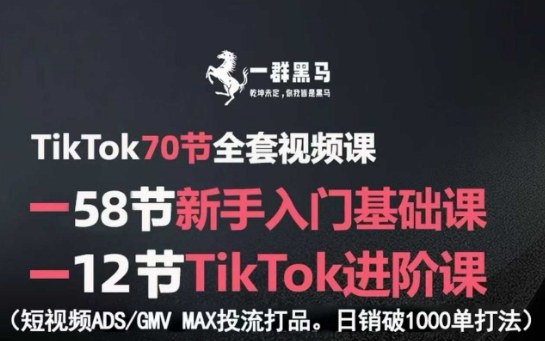 TikTok全套视频课，新手入门+进阶课，短视频ADS-GMV MAX投流打品，日销破1000单打法 - 严选资源大全 - 严选资源大全