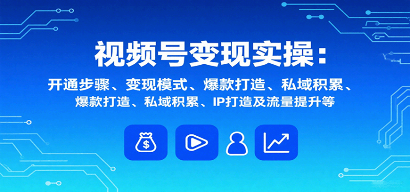 视频号变现实操,含开通步骤、变现模式、爆款打造、私域积累、IP打造及流量提升等 - 严选资源大全 - 严选资源大全