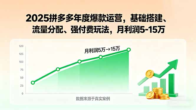2025拼多多年度爆款运营，基础搭建、流量分配、强付费玩法，月利润5-15万 - 严选资源大全 - 严选资源大全