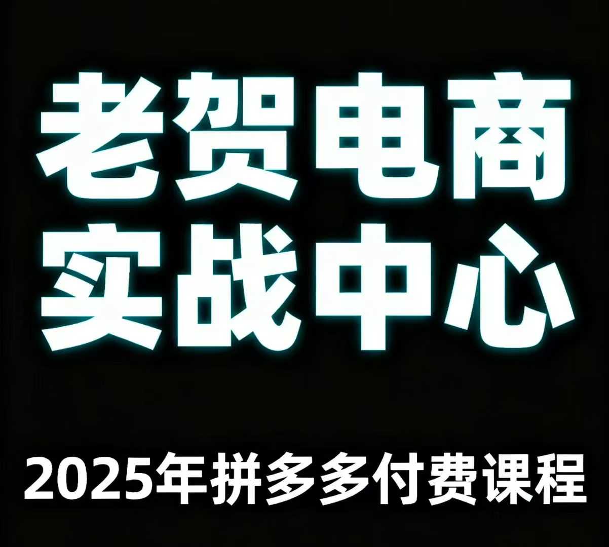 老贺电商2025年拼多多付费课程，用通俗易懂的方法告诉你多多怎么玩 - 严选资源大全 - 严选资源大全