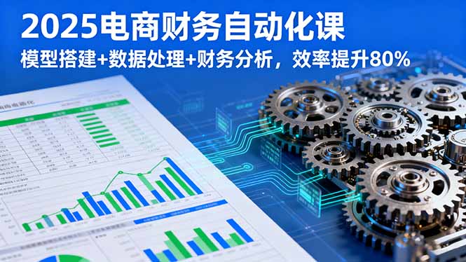 2025电商财务自动化课，模型搭建+数据处理+财务分析，效率提升80% - 严选资源大全 - 严选资源大全