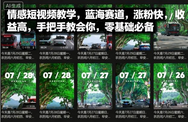 情感短视频教学，蓝海赛道，涨粉快，收益高，手把手教会你，零基础必备 - 严选资源大全 - 严选资源大全