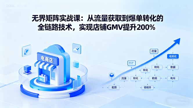 无界矩阵实战课：从流量获取到爆单转化的全链路技术，实现店铺GMV提升200% - 严选资源大全 - 严选资源大全
