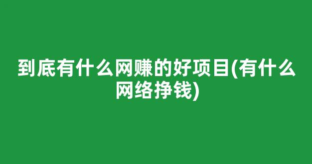 到底有什么网赚的好项目(有什么网络挣钱) - 严选资源大全 - 严选资源大全