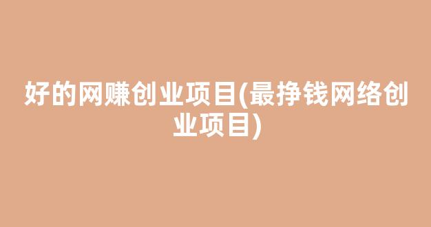 好的网赚创业项目(最挣钱网络创业项目) - 严选资源大全 - 严选资源大全