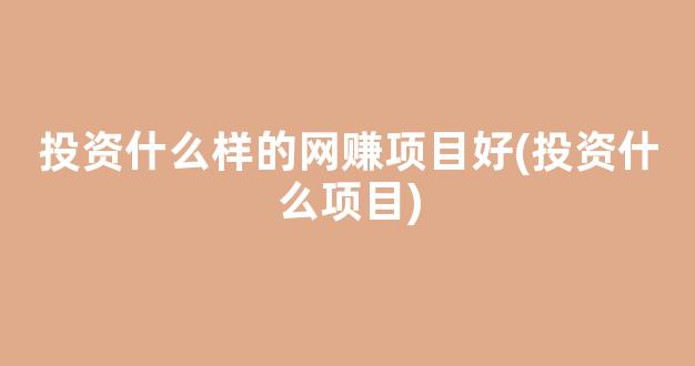 投资什么样的网赚项目好(投资什么项目) - 严选资源大全 - 严选资源大全