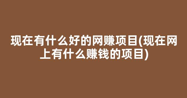 现在有什么好的网赚项目(现在网上有什么赚钱的项目) - 严选资源大全 - 严选资源大全