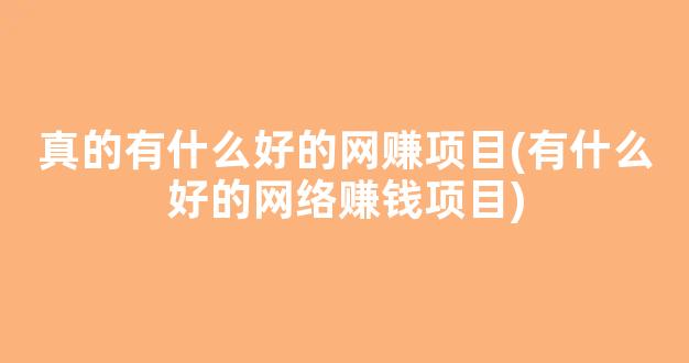 真的有什么好的网赚项目(有什么好的网络赚钱项目) - 严选资源大全 - 严选资源大全