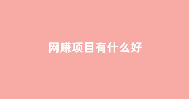网赚项目有什么好 - 严选资源大全 - 严选资源大全