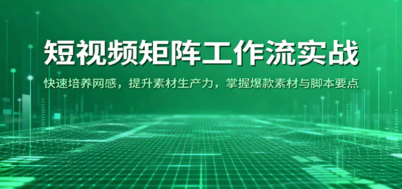短视频矩阵工作流实战：快速培养网感，提升素材生产力，掌握爆款素材与脚本要点 - 严选资源大全 - 严选资源大全