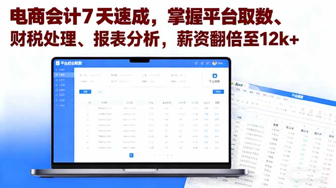 电商会计7天速成，掌握平台取数、财税处理、报表分析，薪资翻倍至12k+ - 严选资源大全 - 严选资源大全
